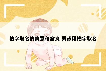 柏字取名的寓意和含义 男孩用柏字取名