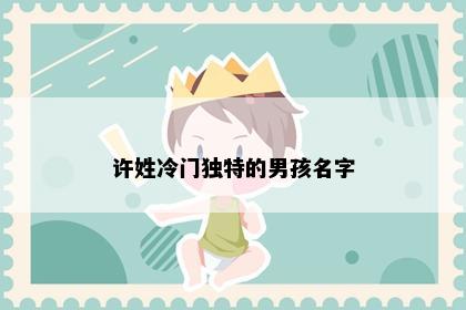 许姓冷门独特的男孩名字