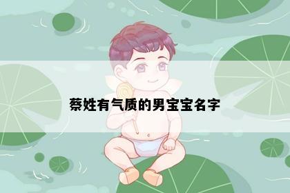 蔡姓有气质的男宝宝名字