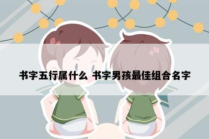 书字五行属什么 书字男孩最佳组合名字