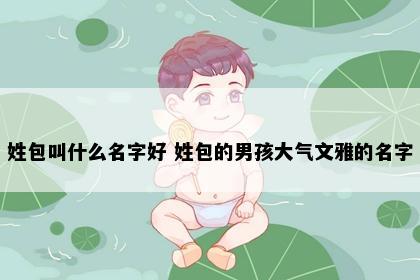 姓包叫什么名字好 姓包的男孩大气文雅的名字