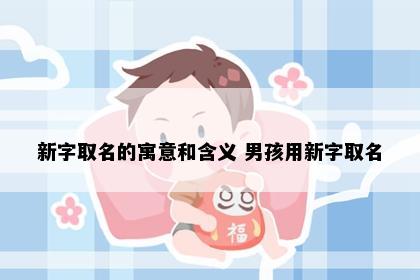 新字取名的寓意和含义 男孩用新字取名