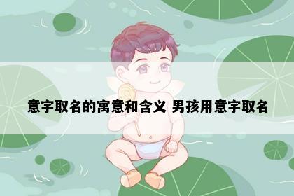意字取名的寓意和含义 男孩用意字取名