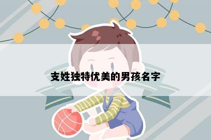 支姓独特优美的男孩名字