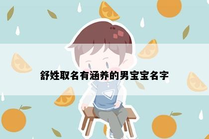 舒姓取名有涵养的男宝宝名字